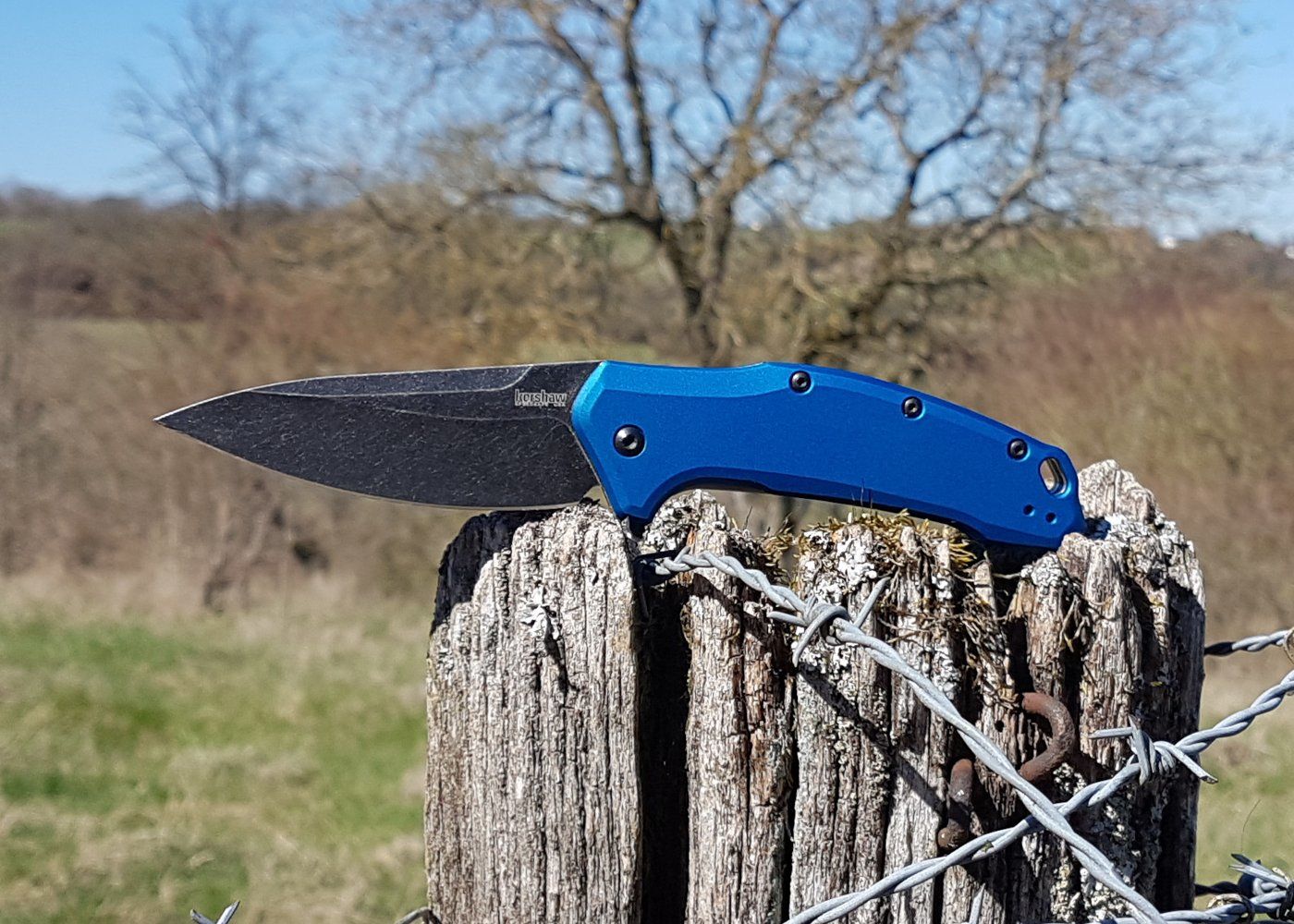 Kershaw Link Review