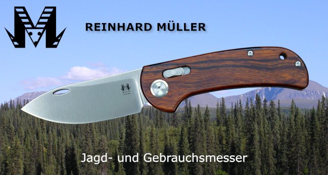Reinhard Müller - Companion Axis Lock